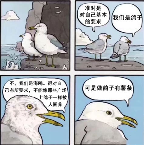 meme gif|「待会去码头整点薯条」是什么梗？